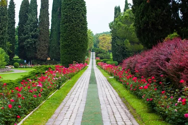 花季特選義大利旅遊│比薩斜塔登頂．童話天空之城．五鄉地火車．西古爾塔花園．朝聖古羅馬．徜徉威尼斯．夜泊托斯卡尼莊園10日
