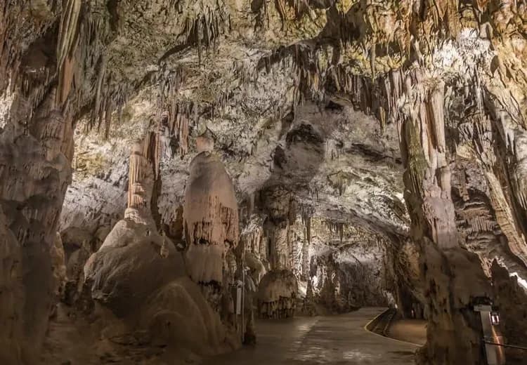 斯洛維尼亞波斯托伊納鐘乳石洞