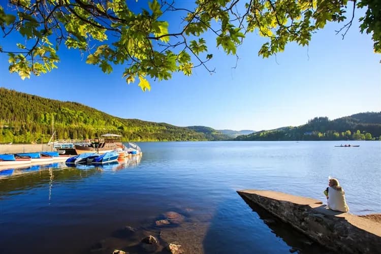 早鳥折三千｜經典德瑞10日｜少女峰．馬特宏峰．冰河列車．黃金路線列車．霍亨索倫堡．花之島．國王湖