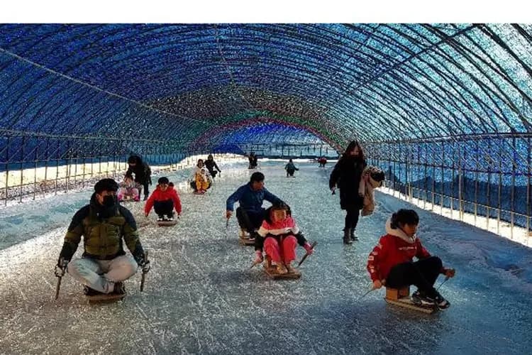 七甲山冰柱節噴泉慶典(含雪盆+烤栗子)