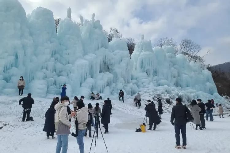 七甲山冰柱節噴泉慶典(含雪盆+烤栗子)