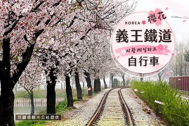 義王環湖鐵道自行車(賞櫻)