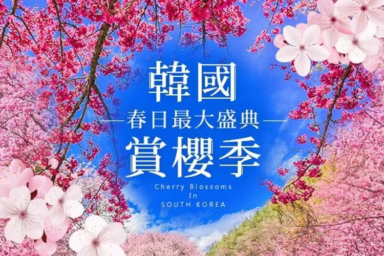 花現韓國的美好