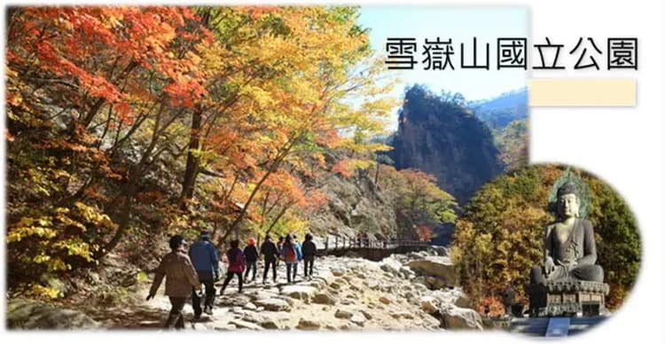 雪嶽山國立公園(纜車來回+新興寺)