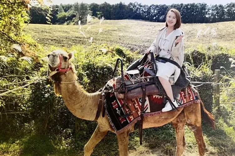 騎駱駝體驗-騎駱駝體驗