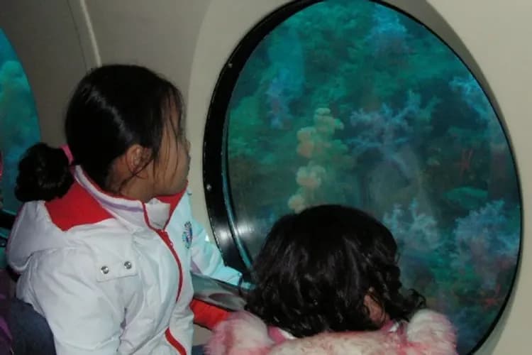 牛島潛水艇-牛島潛水艇(東岸海底世界)