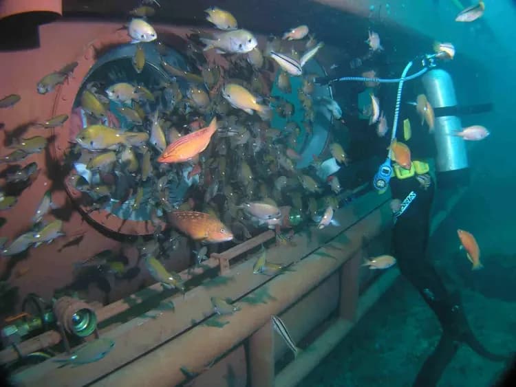 牛島潛水艇-牛島潛水艇(東岸海底世界)