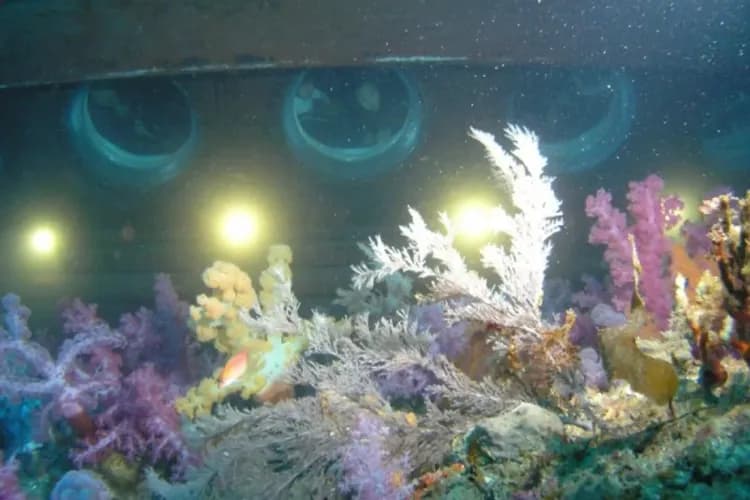 牛島潛水艇-牛島潛水艇(東岸海底世界)