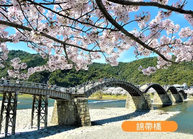 戀上九州四國５日.道後古湯.錦帶橋.元乃隅稻成神社.米其林嚴島神社.夢幻海上下瀨美術館.九四渡輪.河豚.牡蠣料理