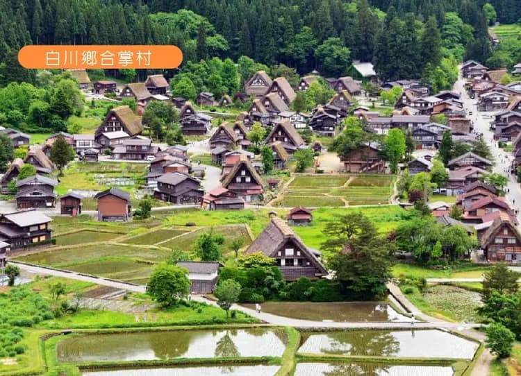 【限時限量】浪漫紫藤溫泉立山黑部5日.兼六園.上高地.白川鄉合掌村.奈良紫藤.雪之大谷.和牛燒肉吃到飽(大阪)-5