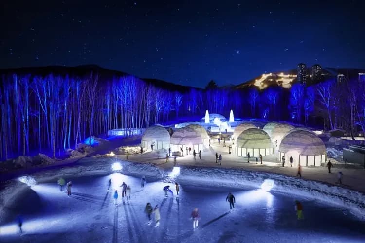 每月一物北海道旅遊｜保證入住TOMAMU星野渡假村.白色燈樹節.水教堂.微笑海灘.小樽漫遊.溫泉美食五日-8