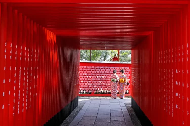 北陸漫遊｜賞櫻百選～新境川堤百十郎櫻.長良川花見鐵道.童話合掌村.飛驒牛.高山老街.國寶犬山城.山車館.三光稻荷神社.喜來登溫泉五日｜台中-8