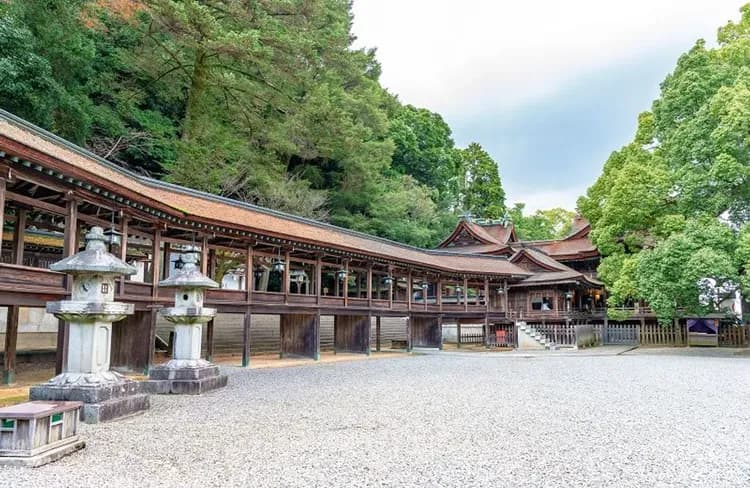 春櫻松山四國｜6大賞櫻名所~紫雲出山.栗林公園.丸龜城.琴彈公園.百大名城~松山城.大步危遊船.採草莓.道後溫泉街五日-10