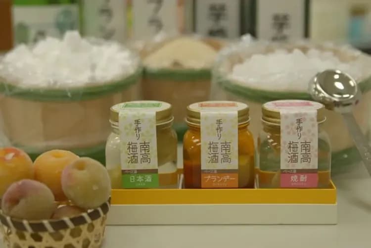 三零深度關西和歌山旅遊｜世界遺產·熊野古道｜熊野三山.那智瀑布.太地町立鯨魚博物館.平安服體驗.伊勢神宮.海女小屋八日-12