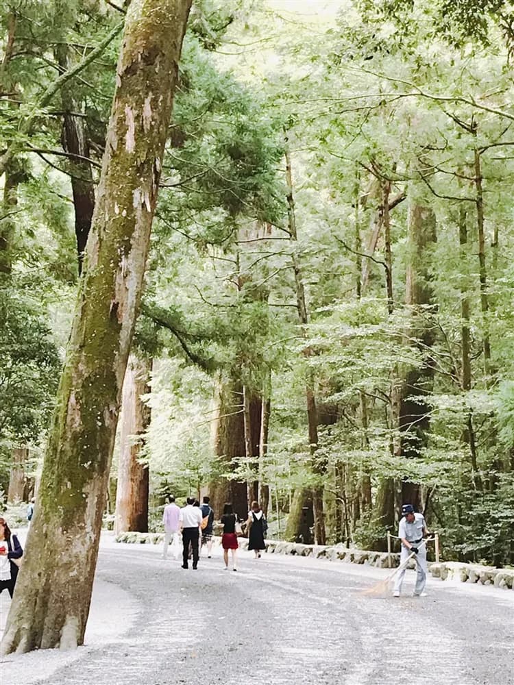 三零深度關西和歌山旅遊｜世界遺產·熊野古道｜熊野三山.那智瀑布.太地町立鯨魚博物館.平安服體驗.伊勢神宮.海女小屋八日-7