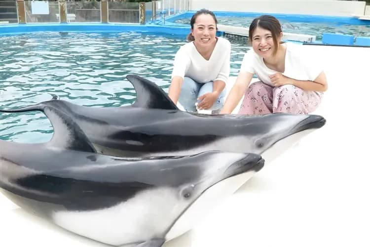三零深度關西和歌山旅遊｜世界遺產·熊野古道｜熊野三山.那智瀑布.太地町立鯨魚博物館.平安服體驗.伊勢神宮.海女小屋八日-6