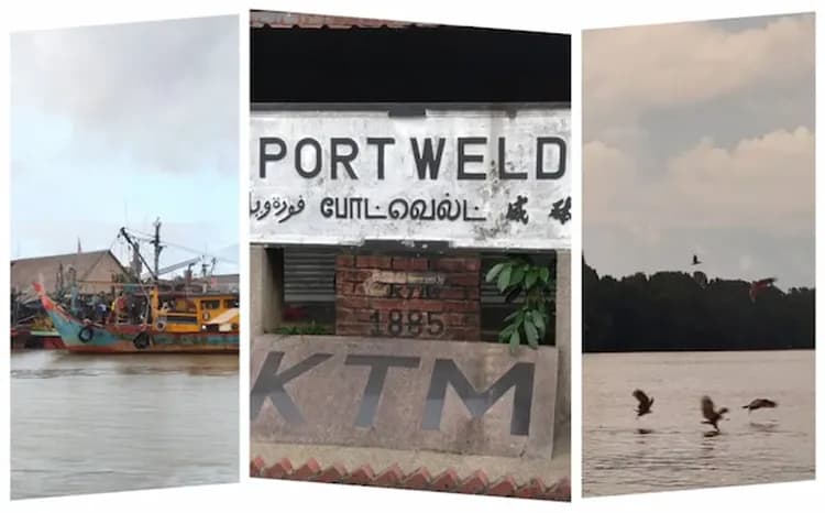 綠灣生態探索（紅木黑金炭窯+紅樹林生態保護區+河口老鷹餵食秀+河魚養殖場）
