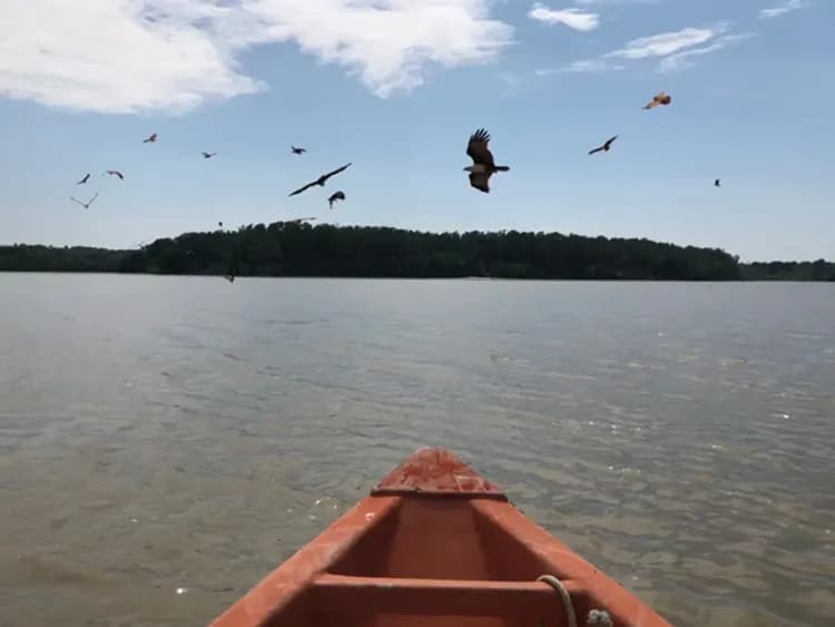 檳城發燒賣～喬治城魔鏡、怡保老街巡禮、綠灣生態探索、三輪車遊古城五日-7