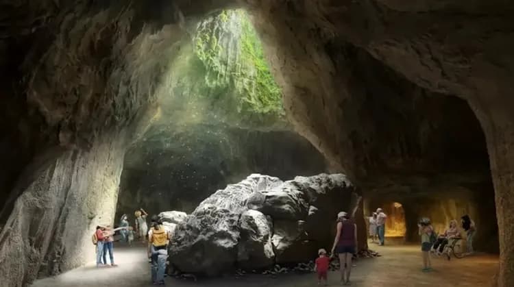 亞洲雨林探險園+河川生態園