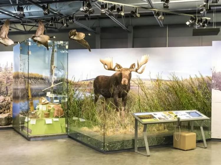 威爾士王子遺跡館-黃刀鎮漫遊