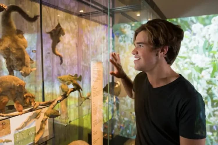 【賀歲黃金海岸、預購減3000】莫瑞頓海豚島、室內跳傘體驗、庫倫賓動物園、高空觀景台七日-8