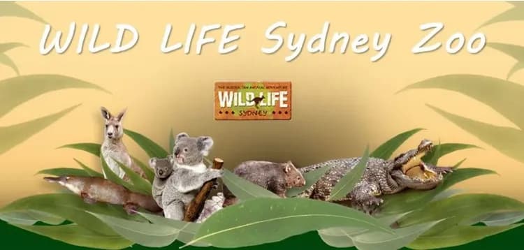 野生世界、水族館