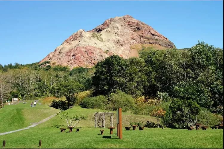 北海道冬享戀～小樽函館山、尼克斯企鵝秀、洞爺湖彩燈節、森之庭渡假村五日-6