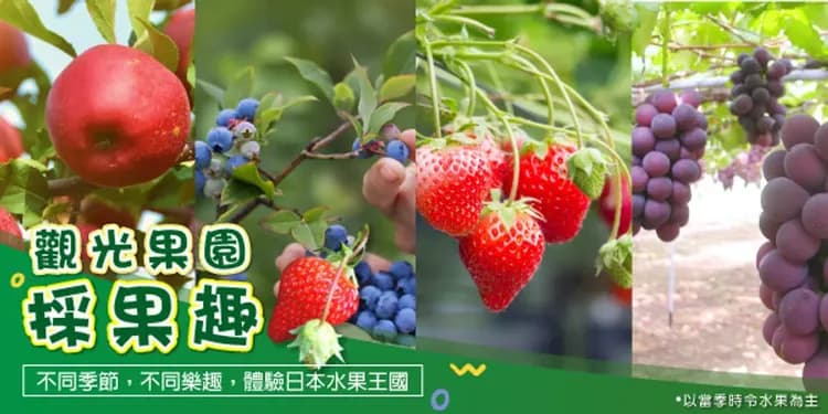 季節採果樂