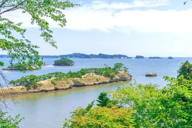 松島灣(烤魚板DIY)