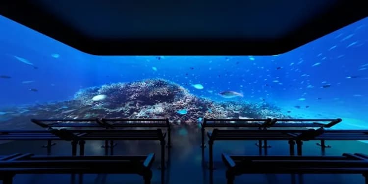 DMM KARIYUSHI水族館(豊崎購物商城)