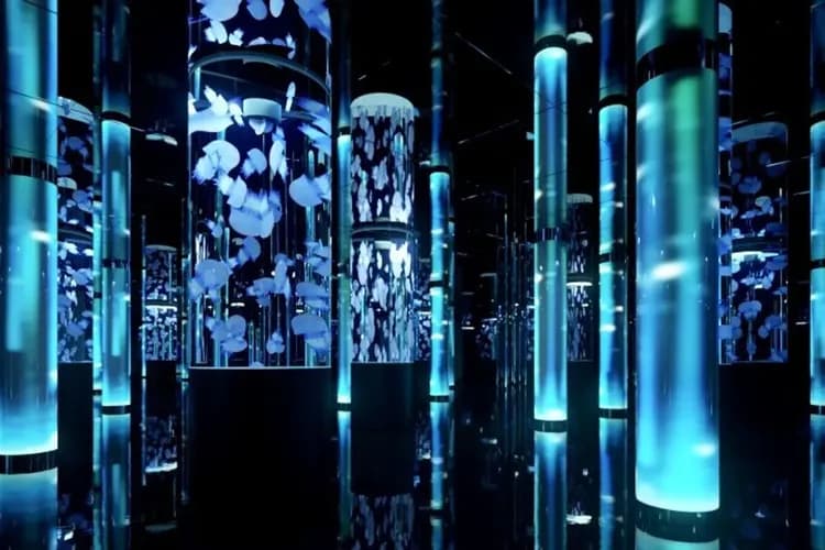 DMM KARIYUSHI水族館(豊崎購物商城)