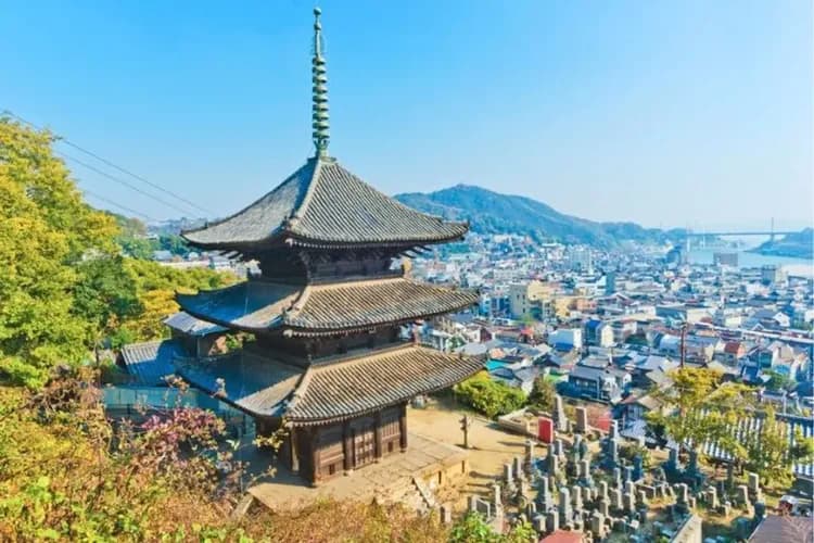 千光寺公園(櫻花百選)