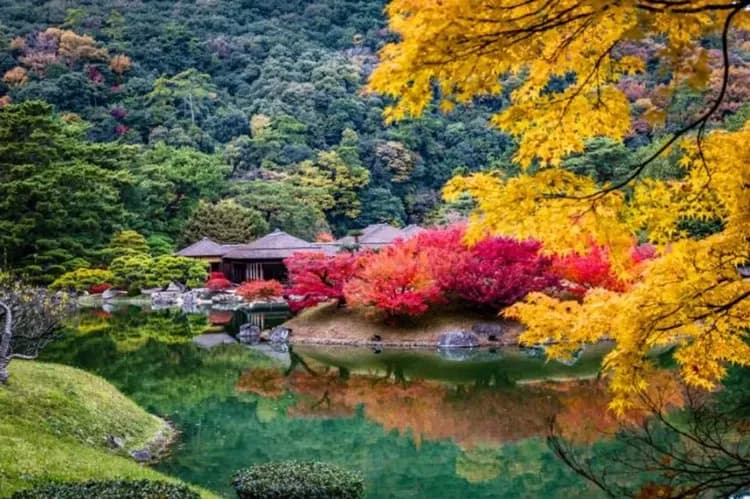 栗林公園(掬月亭品嘗日式煎茶)