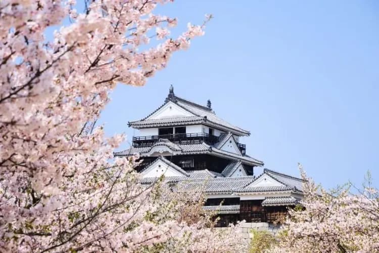 松山城(來回纜車+不上天守閣)