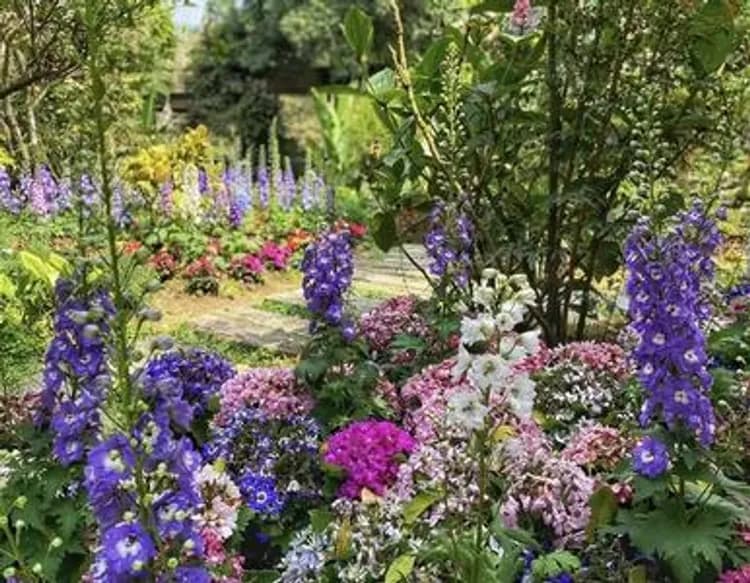 【高鐵假期】 台中薰衣草森林．東勢林業．逢甲夜市1日豐富行-1