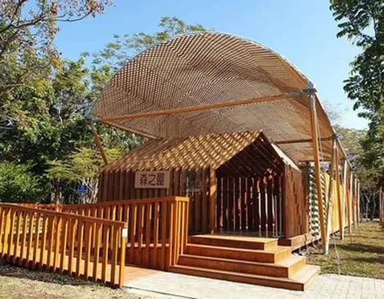 【高鐵假期】 台中薰衣草森林．東勢林業．逢甲夜市1日豐富行-5