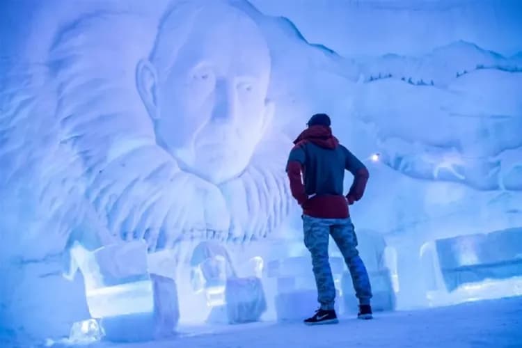 【賀歲芬蘭極光、預購減5000】極光玻璃屋、帝王蟹龍蝦裝、星空夜臥火車、冰原歷險體驗11日-5