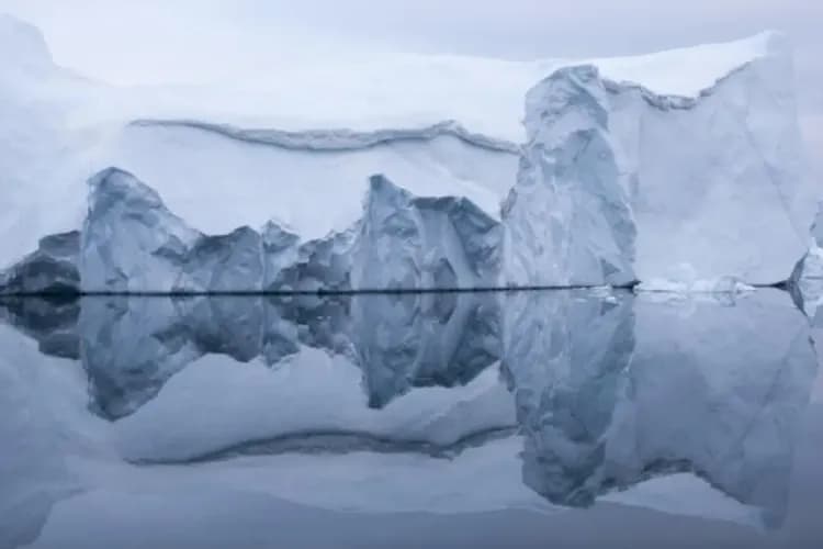 Albatros Arctic Circle 授權提供-午夜峽灣航行(遊船)