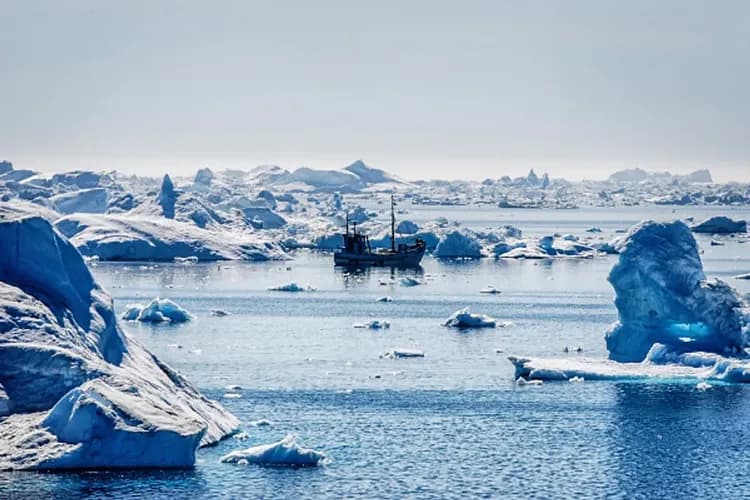 Albatros Arctic Circle 授權提供-探索格陵蘭島