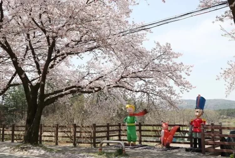 韓國櫻花戀～濟扶海上纜車、秘境賞櫻道、住宿傳統韓屋、兩晚五星飯店五日