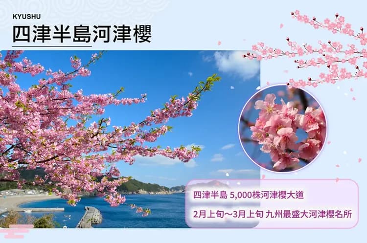 櫻耀九州雙溫泉5日.四浦半島河津櫻.南阿蘇鐵道.高千穗峽谷.柳川遊船.阿蘇草千里.燒肉吃到飽