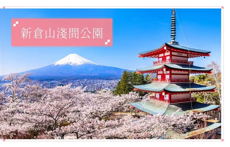 【東京漫舞櫻花５日】橫濱百選櫻花、新宿御苑、箱根富士遊船、千鳥之淵、敘敘苑、螃蟹溫泉[含稅簽]