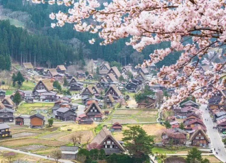 【漫漫櫻花名古屋５日】賞櫻名所彥根城、白川鄉合掌村、兼六園、新穗高纜車、高山老街[含稅簽]