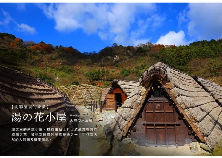 【九州紫藤海陸空５日】浪漫紫藤、由布院鐵道、柳川遊船、九重夢、湯布院、螃蟹吃到飽[含稅簽]-7