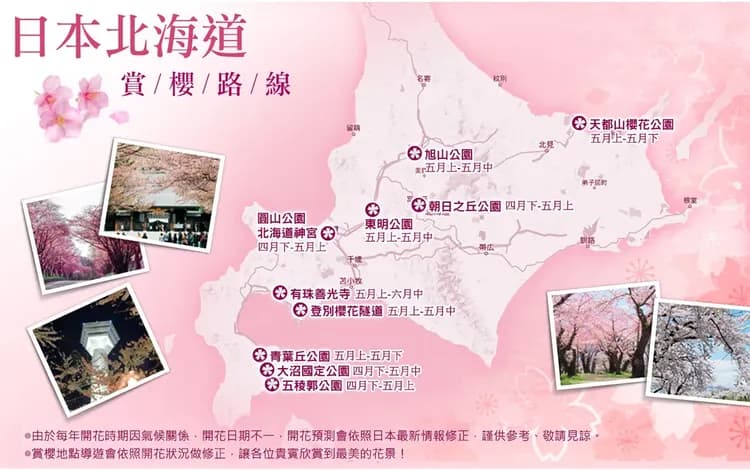 【星宇櫻光迴廊北海道５日】升等二世谷日航、北斗櫻花迴廊、櫻花神宮、函館夜景、浪漫小樽、企鵝遊行、螃蟹溫泉[含稅簽]-5