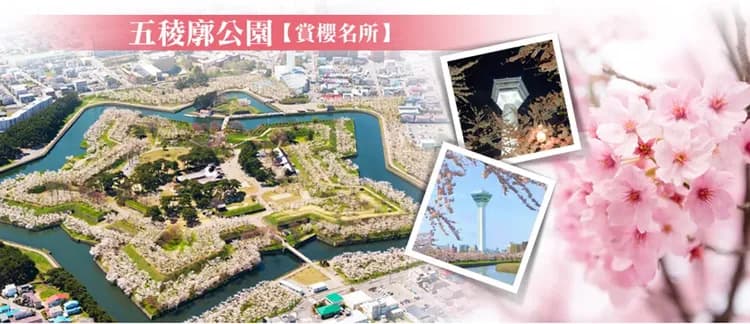 【星宇櫻光迴廊北海道５日】升等二世谷日航、北斗櫻花迴廊、櫻花神宮、函館夜景、浪漫小樽、企鵝遊行、螃蟹溫泉[含稅簽]-6