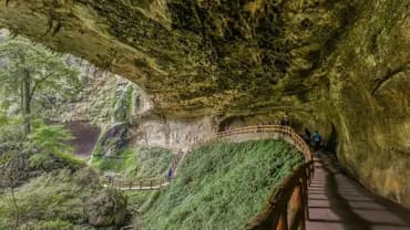 【高鐵假期】 南投杉林溪．忘憂森林．松瀧岩瀑布1日豐富行-3