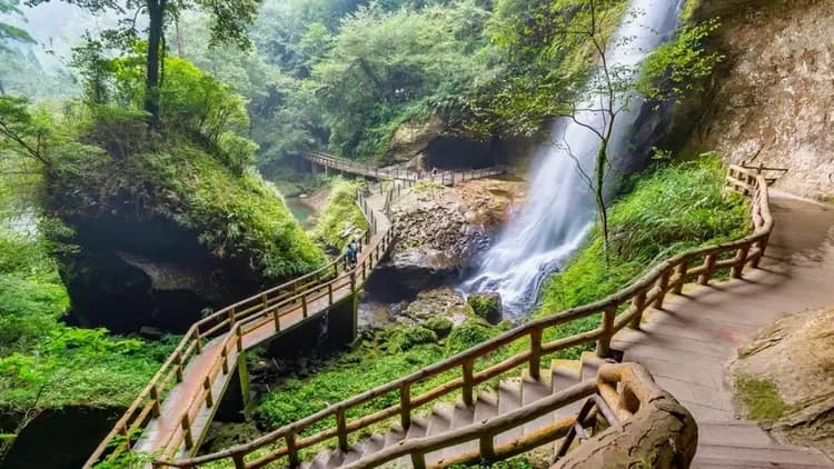 【高鐵假期】 南投杉林溪．忘憂森林．松瀧岩瀑布1日豐富行-1