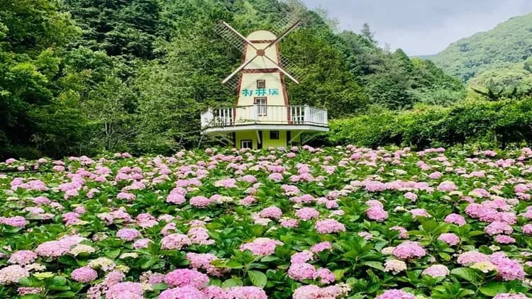 【高鐵假期】 南投杉林溪．忘憂森林．松瀧岩瀑布1日豐富行-4