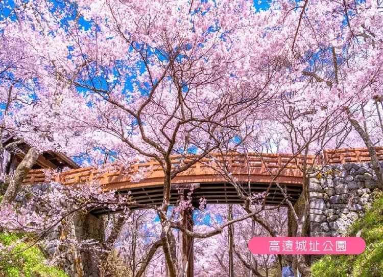 【華航富山包機】櫻舞春光北陸雙溫泉5日.春日四重奏.高遠址公園.兼六園.白川鄉合掌村.採果樂.飛驒牛料理 保住希爾頓-5